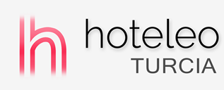 Hoteluri în Turcia - hoteleo